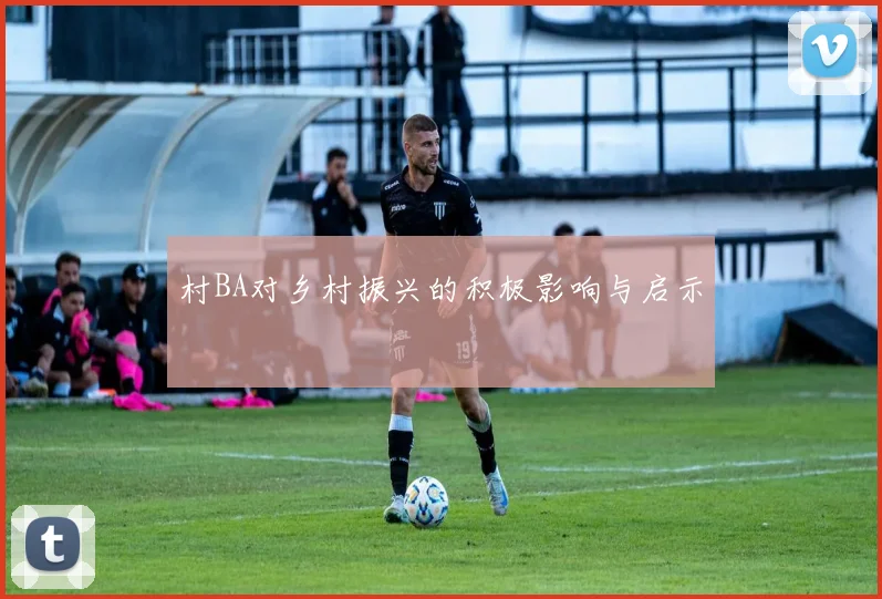 村BA对乡村振兴的积极影响与启示